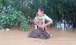 幕小崖爆料小椰子视频,幕小崖揭露小椰子视频幕后真相