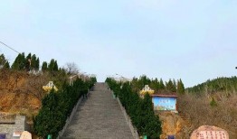 四川屏山爆料最新消息,揭秘事件背后真相