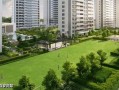 宁波绿城小区最新爆料,揭秘神秘事件背后的真相