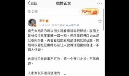 新版大结局爆料了吗视频,揭秘剧情高潮与结局悬念