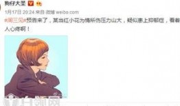 谁爆料了小花梅的视频播放,神秘爆料者揭开网络热议之谜