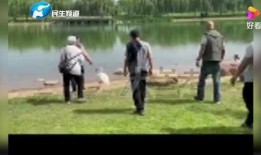 郑州七中爆料事件视频曝光,揭秘校园内幕