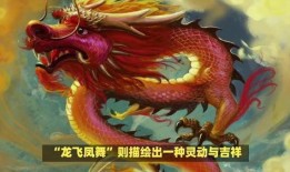 龙飞凤舞在线观看,在线观看，领略中华武术之美