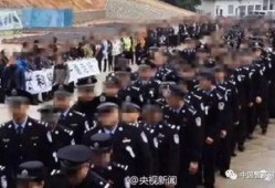 缉毒群英在线观看,在线揭秘生死较量