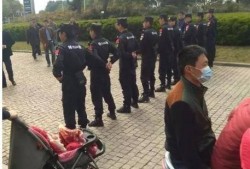 佛山物业爆料事件始末视频,真相与争议的交织