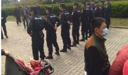 佛山物业爆料事件始末视频,真相与争议的交织