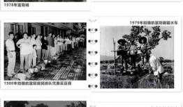 我们的乡村爆料视频,揭秘农村生活点滴