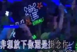 娱乐吃瓜君的背景音乐,跟随节奏，畅游娱乐圈的欢乐海洋