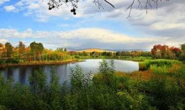 成都白沙湖最新爆料新闻,揭秘真相与影响