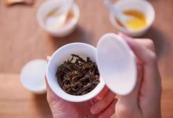 网红武夷岩茶爆料视频,网红爆料背后的茶香传奇