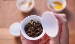 网红武夷岩茶爆料视频,网红爆料背后的茶香传奇