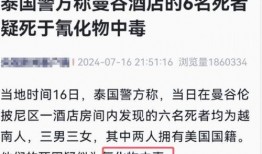 王海鑫最新爆料新闻事件,揭秘事件背后惊人真相