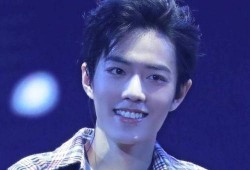 肖战妈妈爆料视频大全,揭秘明星家庭背后的温馨瞬间