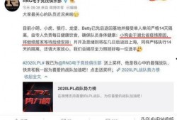 p5x下次更新最新爆料,揭秘下一版本核心亮点与功能革新