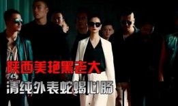 内娱导演爆料视频合集