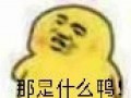 免费吃瓜表情包图片可爱,免费吃瓜表情包，可爱萌态来袭！