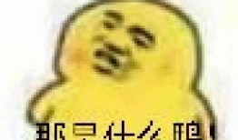 免费吃瓜表情包图片可爱,免费吃瓜表情包，可爱萌态来袭！