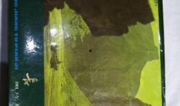 长江图手机在线观看,畅游母亲河的壮丽画卷