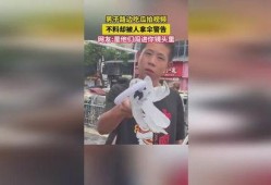 吃瓜拍照视频在线观看免费,轻松娱乐一网打尽