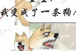 吃瓜的小猫小说免费阅读,揭秘娱乐圈背后的秘密