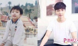 张艺兴家世背景最新爆料,豪门背景下的星途历程