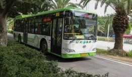 金龙公交车爆料案件视频,真相揭露与法律追责