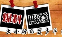 新闻爆料创作灵感,新闻爆料背后的惊人真相