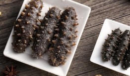 烟台海参爆料视频播放最新,揭秘海参行业背后的真相与最新动态