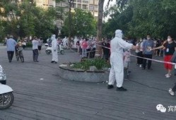 广西宾阳最新闻爆料,揭秘当地热点事件背后的真相