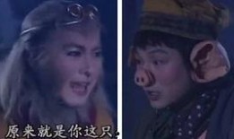 抖音猪八戒爆料视频,揭秘短视频背后的秘密