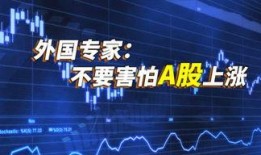 燃视频爆料热线,揭秘幕后真相，直击社会热点