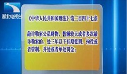 湖北省爆料新闻机构,聚焦荆楚大地最新热点事件