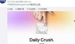 热点爆料的视频有哪些,揭秘热点爆料视频背后的真相与影响