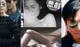 刘嘉玲爆料成龙视频,一段尘封往事的惊人真相
