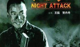 电影夜袭在线观看,暗夜突袭，生死较量