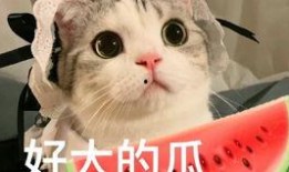 网红吃瓜照片全集大全高清,高清全集大揭秘