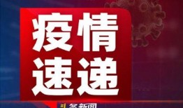 夏门头条最新爆料新闻,最新爆料事件深度解析