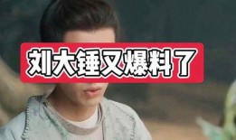 刘大锤13点爆料视频,揭秘娱乐圈惊人内幕