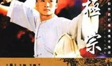 太极宗师电影在线观看,传承与对决，在线观看巅峰对决