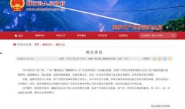 广东新闻 爆料,揭秘重大事件背后真相