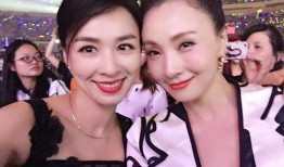 张婷爆料陶虹视频播放全集,张婷揭露惊人内幕，全集播放引发热议