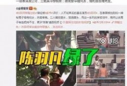 武成侯最新爆料消息视频,揭秘幕后真相，带你走进事件核心