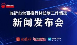 临沂都市爆料新闻直播,聚焦城市脉搏，解码热点事件