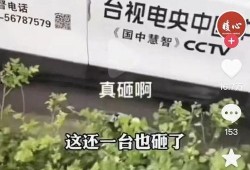 爆料唐山视频大全下载免费