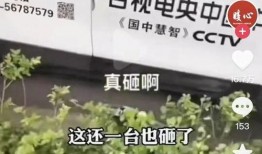 爆料唐山视频大全下载免费