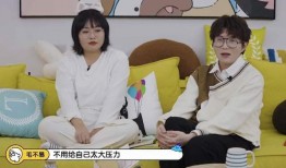 刘大锤最新爆料新闻,最新爆料新闻背后的惊人真相