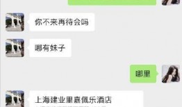 女网红热门事件爆料视频,真相与争议并存
