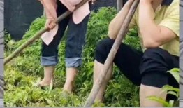 吃瓜的群众 娱乐八卦,揭秘“吃瓜群众”热追的娱乐八卦
