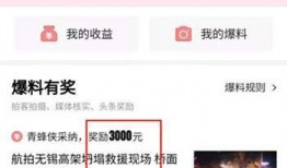 头条怎么视频爆料,如何轻松捕捉社会热点