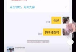 爆料发短视频,揭秘幕后真相